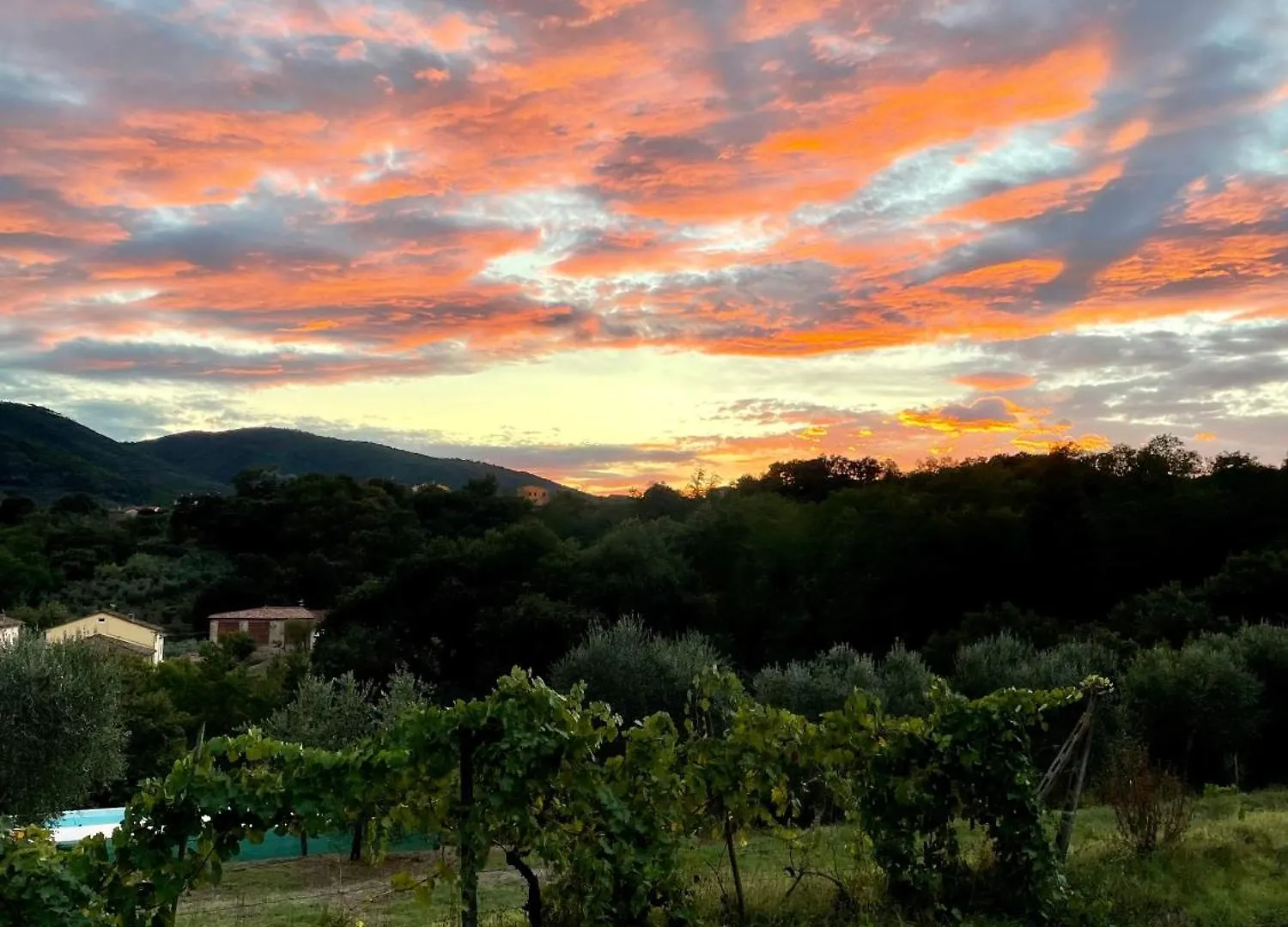 Apartment Tuscan Escape Capannori